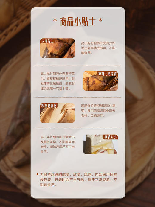 MM 山姆 高山龙竹甜笋 1.5kg 商品图7