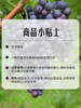 MM 山姆 福安巨峰葡萄 2.4kg 商品缩略图5