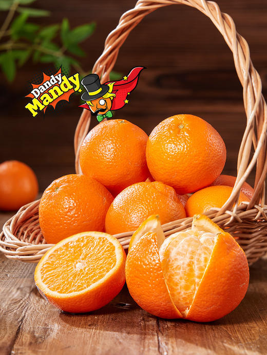 MM 山姆 Dandy Mandy橘 2.27kg 商品图1