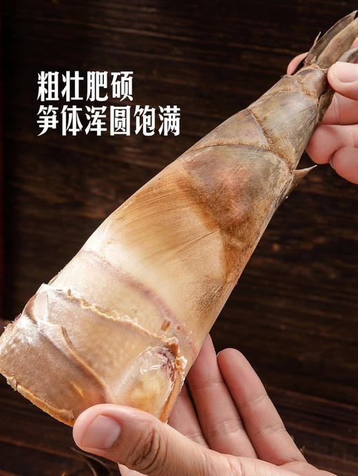 MM 山姆 高山龙竹甜笋 1.5kg 商品图2