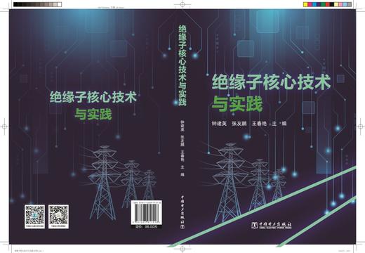 绝缘子核心技术与实践 商品图0