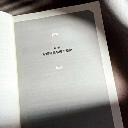 新时代小学语文青年教师素养提升的方法与路径 吉冰 商品图8