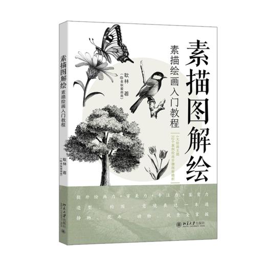素描图解绘：素描绘画入门教程 耿林 北京大学出版社 商品图0