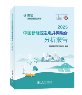 2025中国新能源发电并网融合分析报告