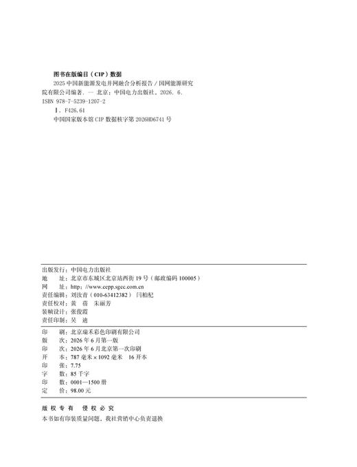 2025中国新能源发电并网融合分析报告 商品图3