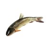 【鲜活】A草鱼（1700g）多退少补（默认不收拾，收拾请备注） 商品缩略图1
