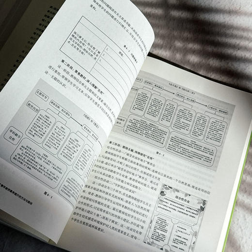 新时代小学语文青年教师素养提升的方法与路径 吉冰 商品图12