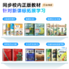 【新品上市】有道全面屏听力宝 M7 听说读写全能练 商品缩略图7