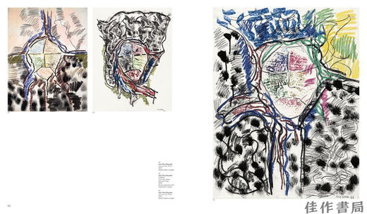 Riopelle: In Search of Indigenous Cultures and the Northern Canadian Landscape / 里奥佩尔：追寻原住民文化与加拿大北部风 商品图2