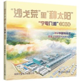 “沙戈荒”里“种太阳”——“宁电入湘”工程纪实