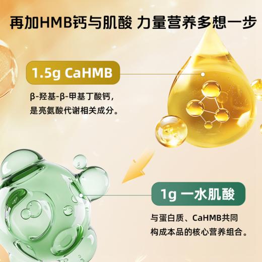 预售9月11日发货【肌肉骨骼好搭档】草牧里 CaHMB营养蛋白粉 300g（20g×15条）/盒 商品图4