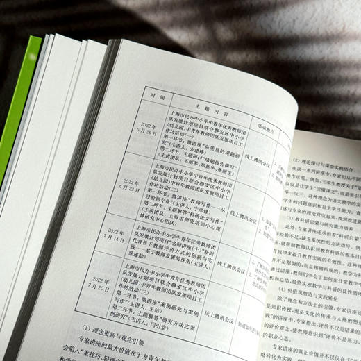 新时代小学语文青年教师素养提升的方法与路径 吉冰 商品图10