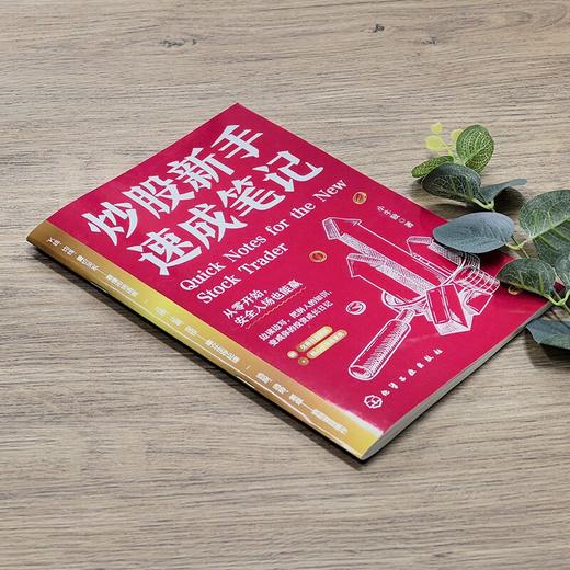 炒股新手速成笔记 商品图2
