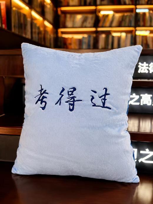 法考系列·考得过（靠枕）  文创   上海书展  法律出版社 商品图1