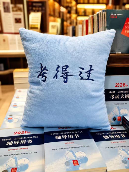 法考系列·考得过（靠枕）  文创   上海书展  法律出版社 商品图3