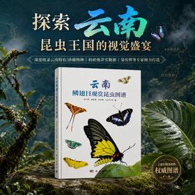云南鳞翅目观赏昆虫图谱 易传辉等 9787030856838