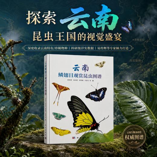云南鳞翅目观赏昆虫图谱 易传辉等 9787030856838 商品图0