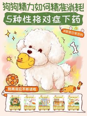 这5种狗狗性格🐶消耗精力需对症下药‼️
