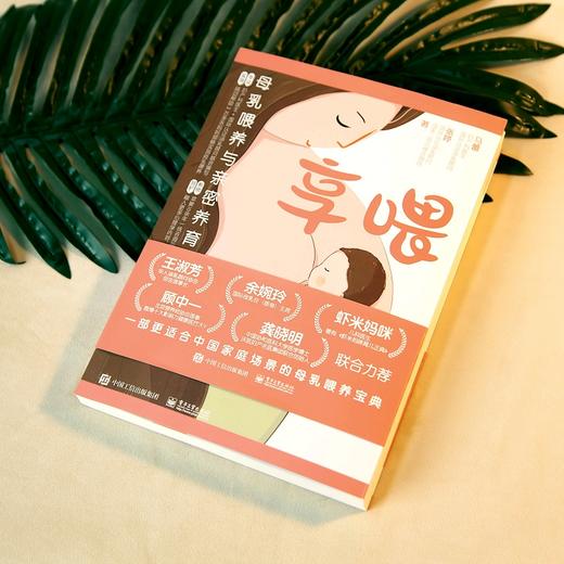 享喂：母乳喂养与亲密养育指南 商品图3