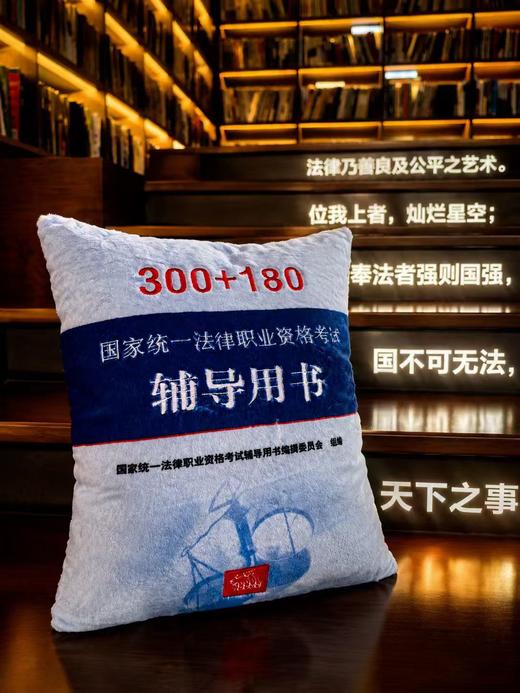 法考系列·考得过（靠枕）  文创   上海书展  法律出版社 商品图2