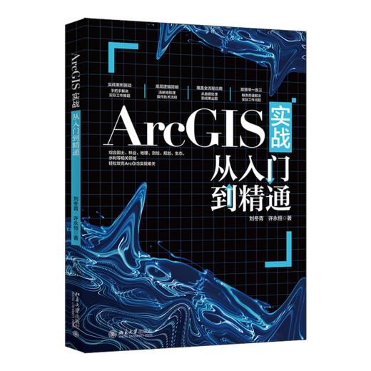ArcGIS实战从入门到精通 刘冬青 许永恒 著 北京大学出版社 商品图0