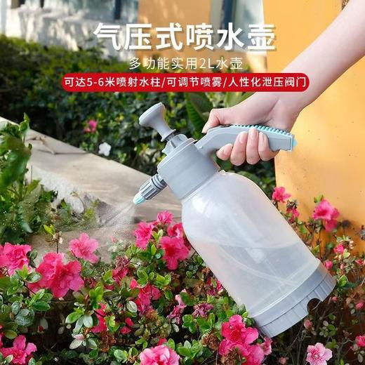 【NLSM】 喷壶 2L 商品图1