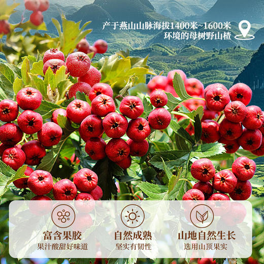 榅桲儿发酵山楂饮料 商品图1