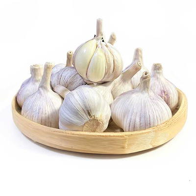 河南大蒜 1.5kg