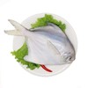 冰鲜大静鱼(500g±50g)多退少补 默认不收拾收拾请备注 商品缩略图1