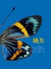 云南鳞翅目观赏昆虫图谱 易传辉等 9787030856838 商品缩略图13