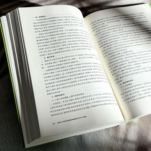 新时代小学语文青年教师素养提升的方法与路径 吉冰 商品图13