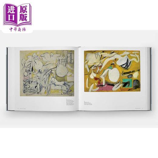预售 【中商原版】A Way of Living 进口艺术 一种生活方式:威廉德库宁的艺术 Phaidon 商品图3