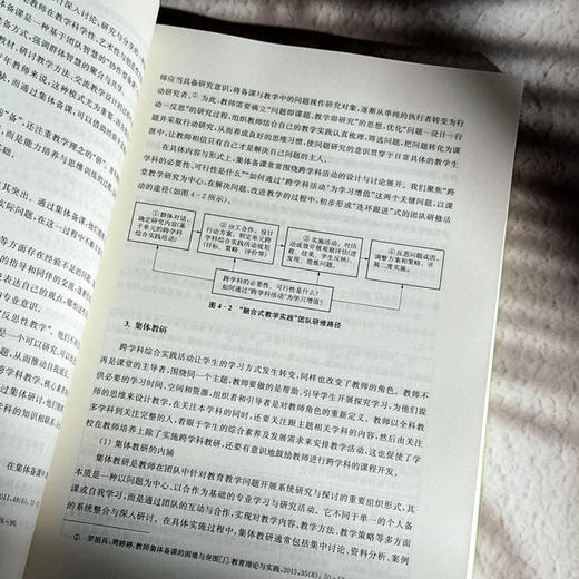 新时代小学语文青年教师素养提升的方法与路径 吉冰 商品图11