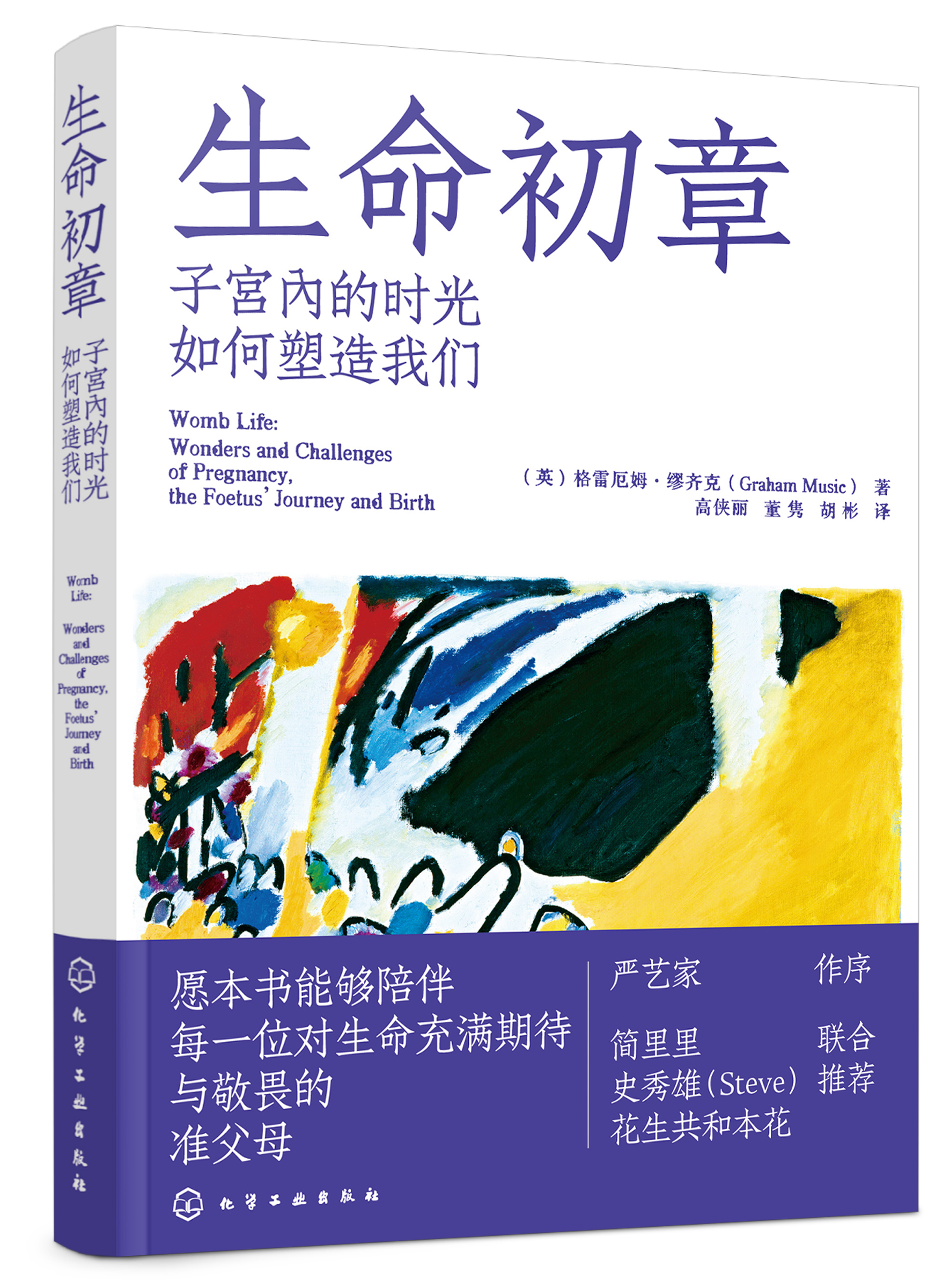 生命初章：子宫内的时光如何塑造我们