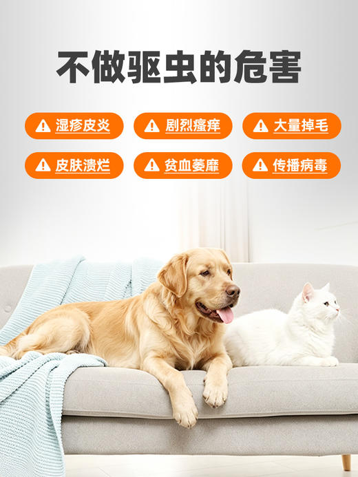 【爱滴克囤货组合 送3盒内驱】普安特宠物驱虫药猫咪狗狗爱滴克非泼罗尼+芬苯达唑片 商品图4