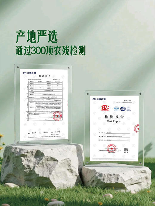 MM 山姆 黑金蜜瓜 ≈1.75kg*1/2个 商品图3