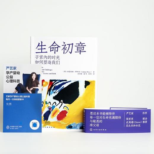 生命初章：子宫内的时光如何塑造我们 商品图2