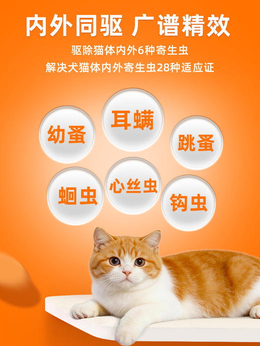 【猫用滴派】普安特内外同驱吡虫啉莫昔克丁滴剂滴派猫用 商品图4