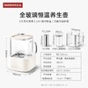 巴森养生壶全玻璃养生壶1.2L大容量小方炖恒温无胶水母婴级家用办公室 商品缩略图4