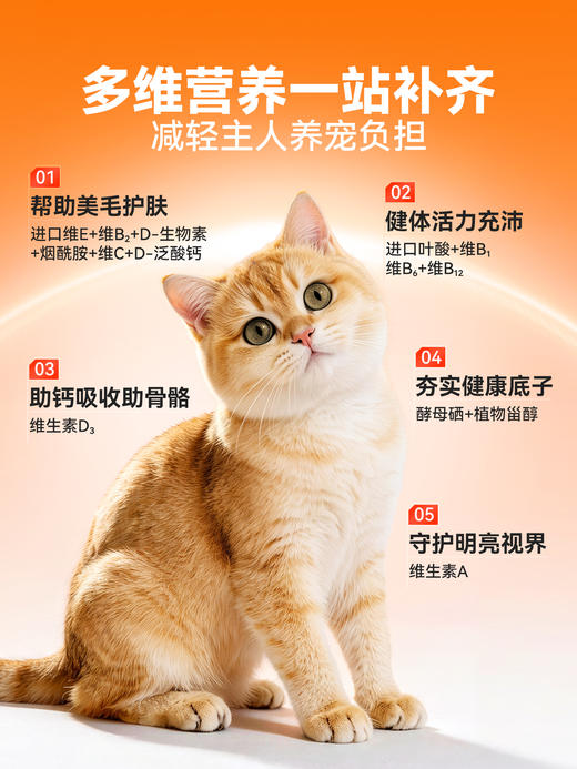 【46元任选3件】普安特猫咪维生素b防掉毛狗狗营养补充宠物用复合维生素片金维葆200片/1瓶 商品图3