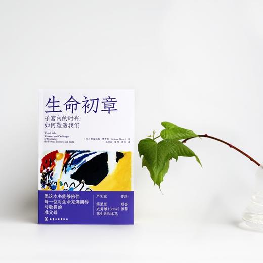 生命初章：子宫内的时光如何塑造我们 商品图1