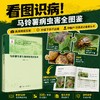 马铃薯有害生物绿色防控技术 张若芳 9787030828446 商品缩略图0