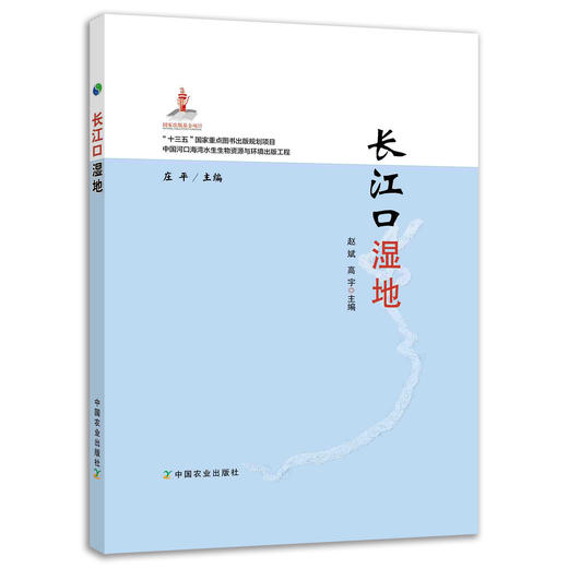 长江口湿地 商品图0