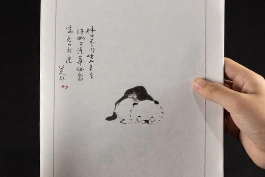 【重磅推荐】《八大山人纪念笺谱》，16开，盒装，共40张，本社 编，西泠印社出版社2026年一版，定价：228.00元，售价：188.00元。 商品图10