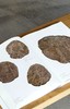 【推荐】《天龙山石窟流失造像·星散之章》《天龙山石窟新旧影像·遗存之章》，16开，平装，侯楠山等著，三晋出版社2026年一版一印，248+264页，分别定价268，298元，分别售价：168、188， 商品缩略图12