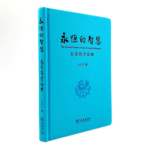 永恒的智慧：长青哲学论略 商品图4