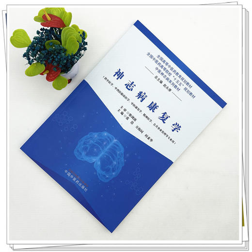 神志病康复学 张浩 万海同 时素华 主编 全国中医药高等院校十五五规划教材 中医神志病系列教材 中国中医药出版社 商品图1