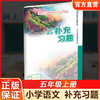 2026秋 补充习题 小学语文5上 五年级上册 人教版 电子答案 小学同步教辅教材配套用书 江苏凤凰教育出版社 商品缩略图0