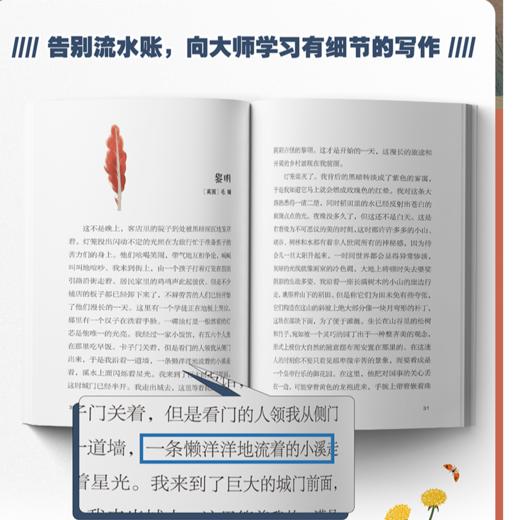 世界大作家作品 寄小读者(全2册）一本学得深！一本看得广！ 商品图2