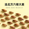 【双11大促】【杞里香大麦茶*2罐】精制大麦茶238g原味浓香型麦茶包邮烘焙 口味纯正 麦香浓郁 商品缩略图3